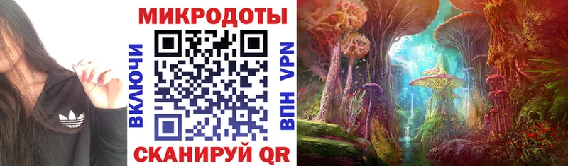 где найти наркотики  Новоузенск  Галлюциногенные грибы мухоморы 